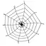 Spinnenweb Elastisch (150 cm) met Spin