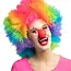 Toeterende Clownsneus Rubber