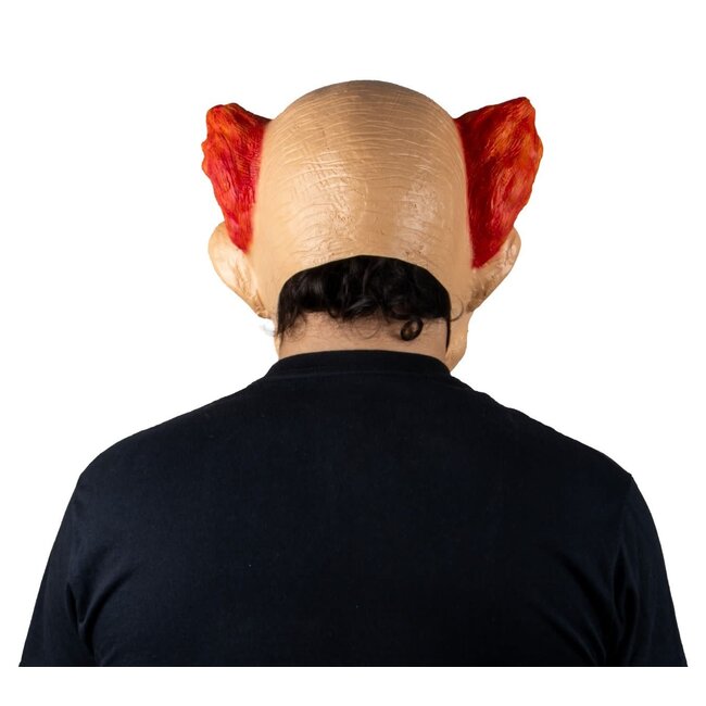 Volledig Hoofdmasker Greedy Clown