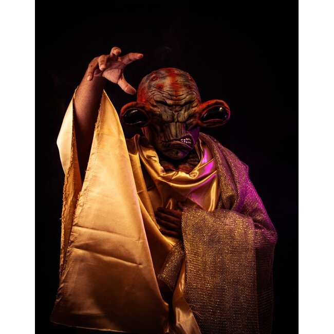 Volledig Hoofdmasker - Alien Richer