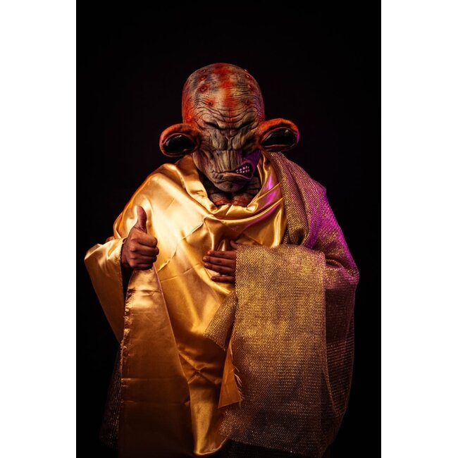 Volledig Hoofdmasker - Alien Richer