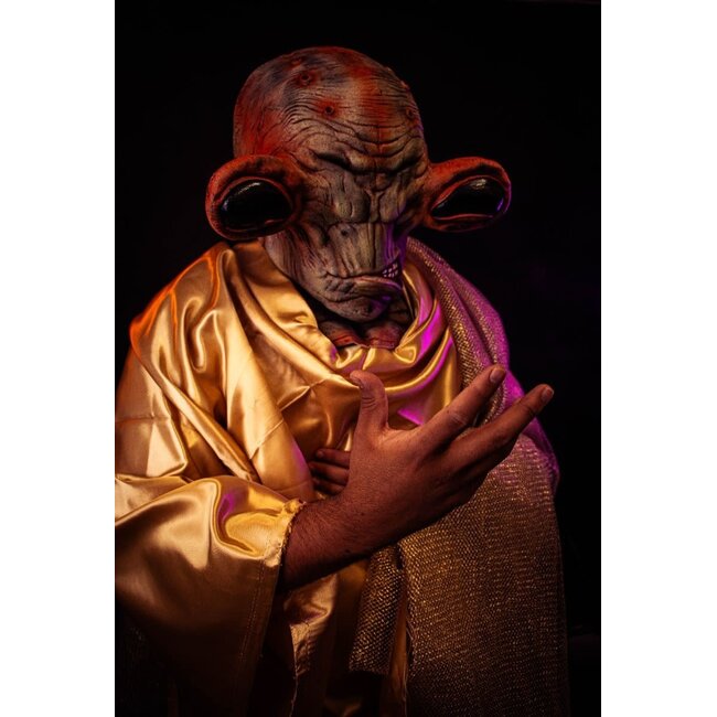 Volledig Hoofdmasker - Alien Richer