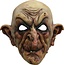 Volledig Hoofdmasker - Wizard