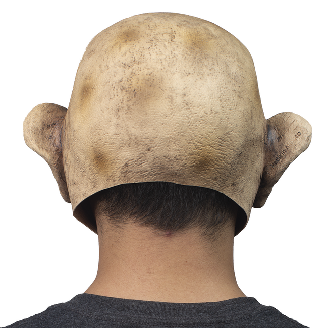 Volledig Hoofdmasker - Wizard