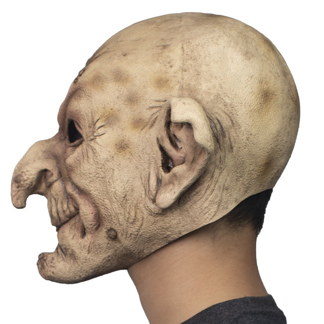 Volledig Hoofdmasker - Wizard