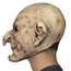 Volledig Hoofdmasker - Wizard