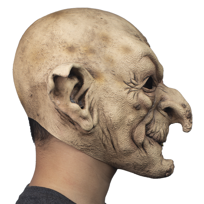 Volledig Hoofdmasker - Wizard