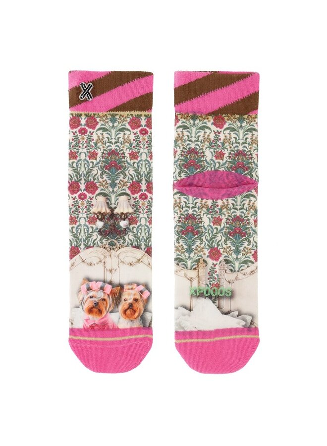 Xpooos Sock Giftbox 71052&70241(74011)