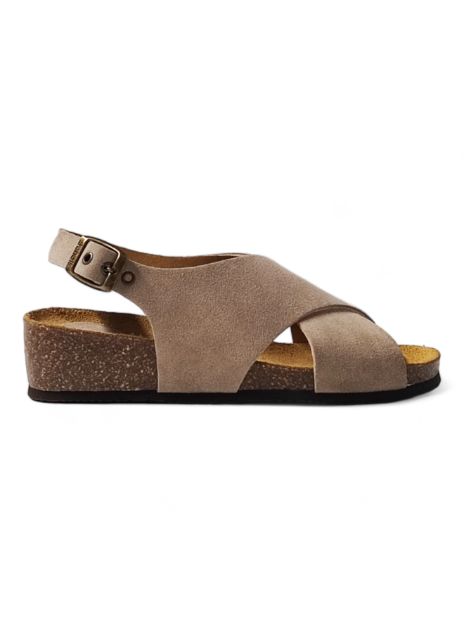 Scholl Amelie Suede Beige