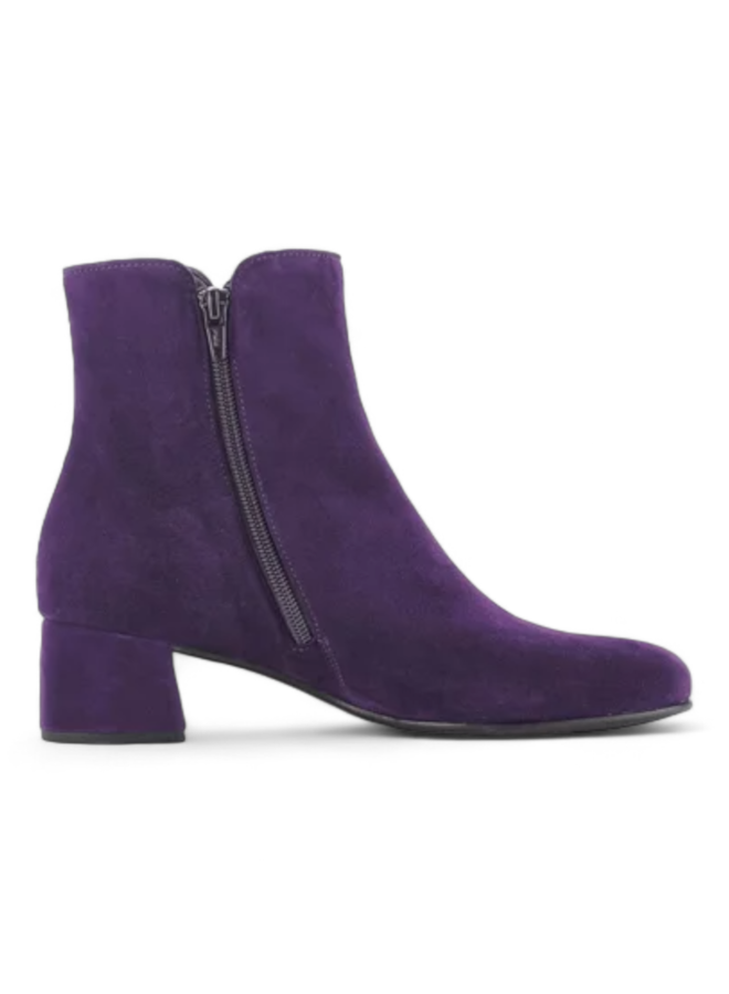 Gabor 55.680.13 Samtchevreau  Purple