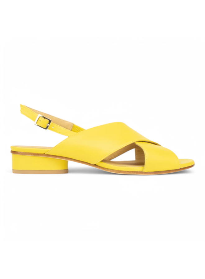 Atelier Content Aura Yellow