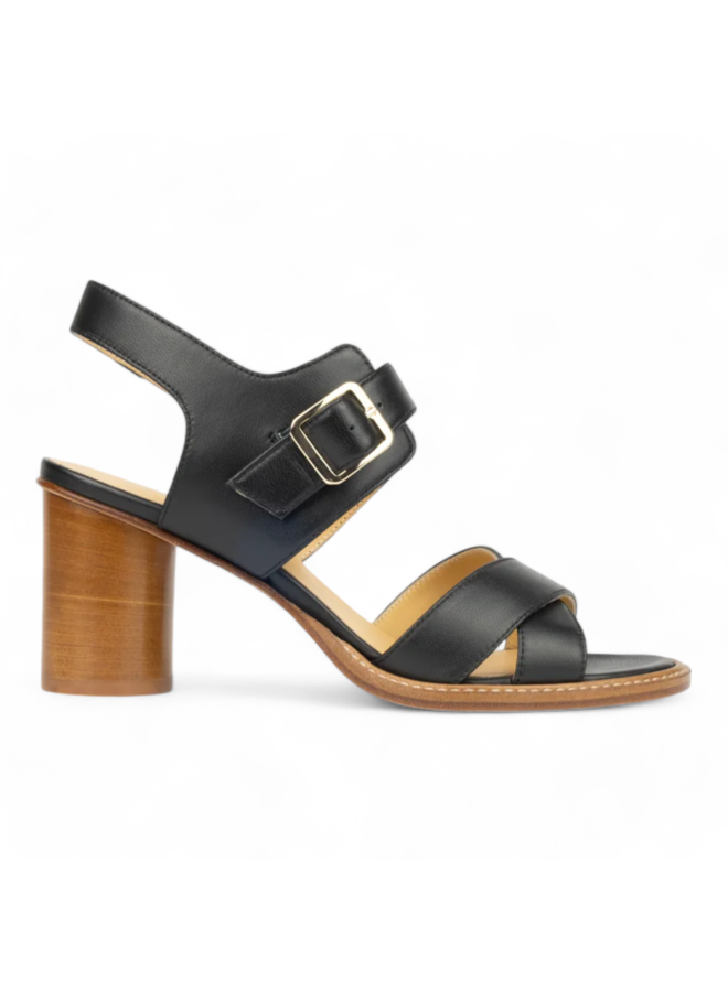 Atelier Content Carol Black