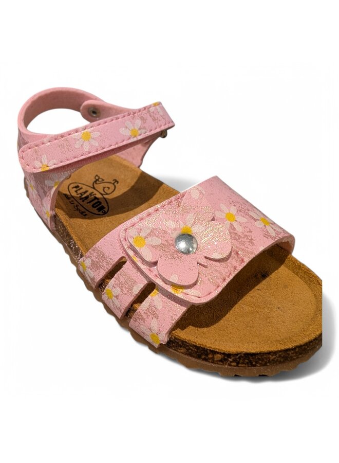 Plakton Peggy Estampado Rosa