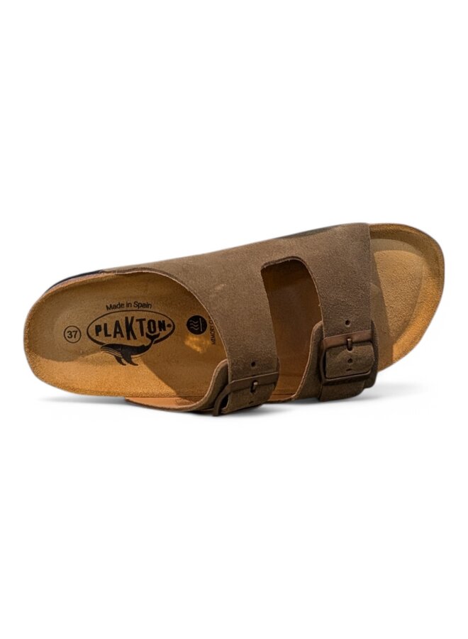 Plakton Beta Afelpado Trebol