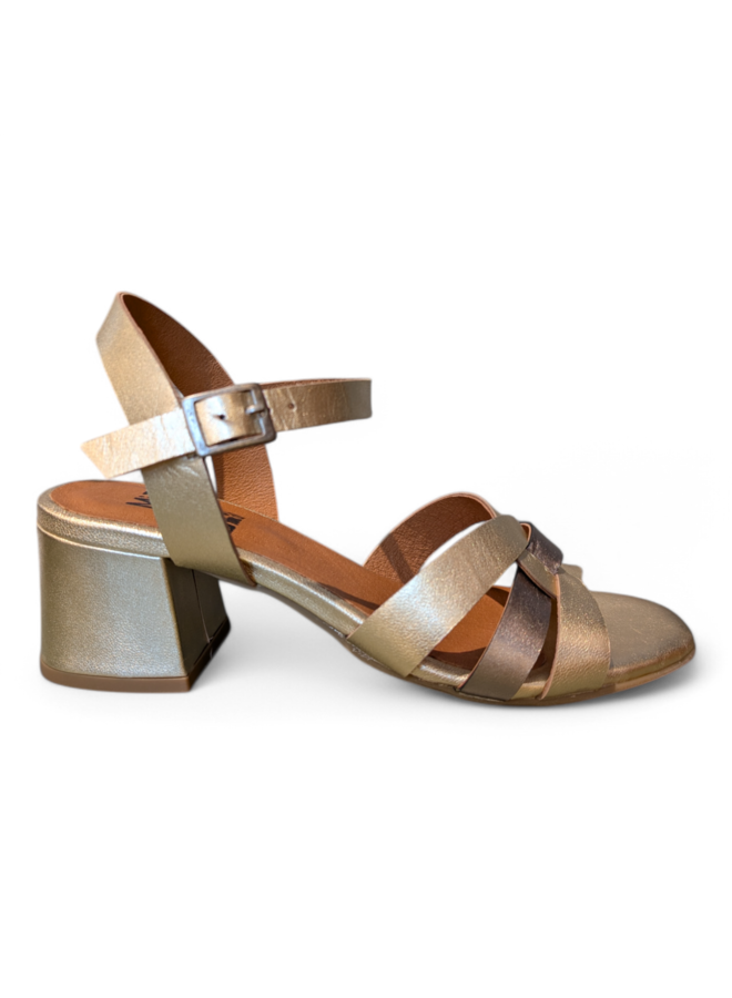 Miz Mooz Bealey Gold/Pew/Gold