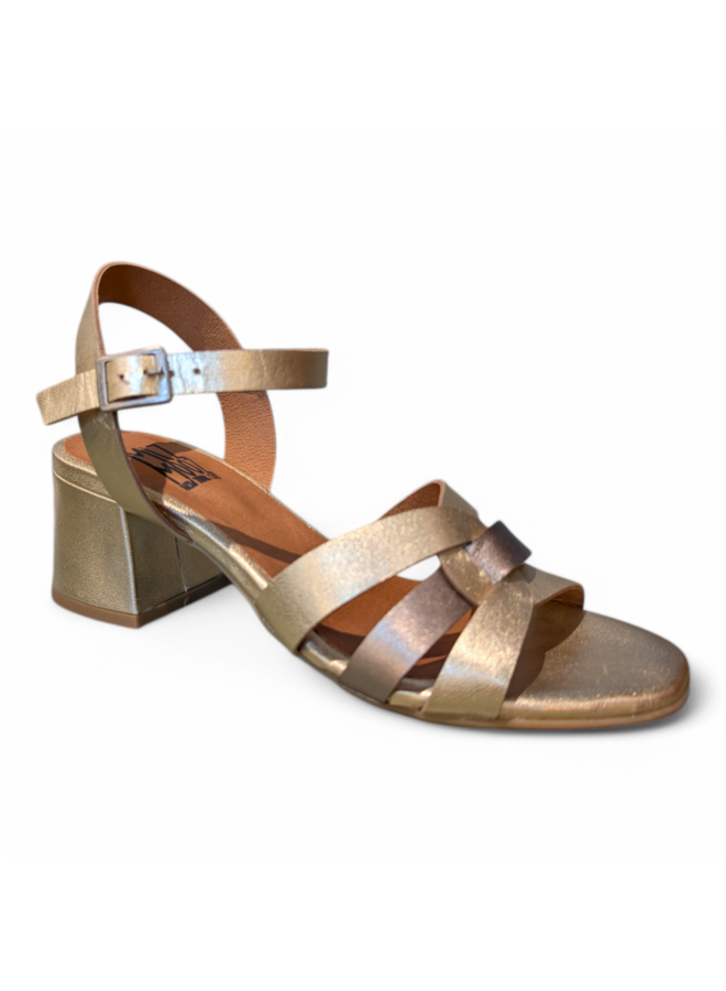 Miz Mooz Bealey Gold/Pew/Gold