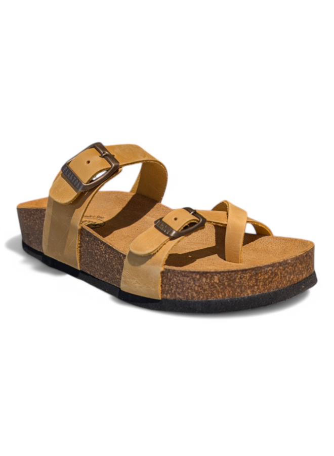 Plakton Bombay Apure Ocre
