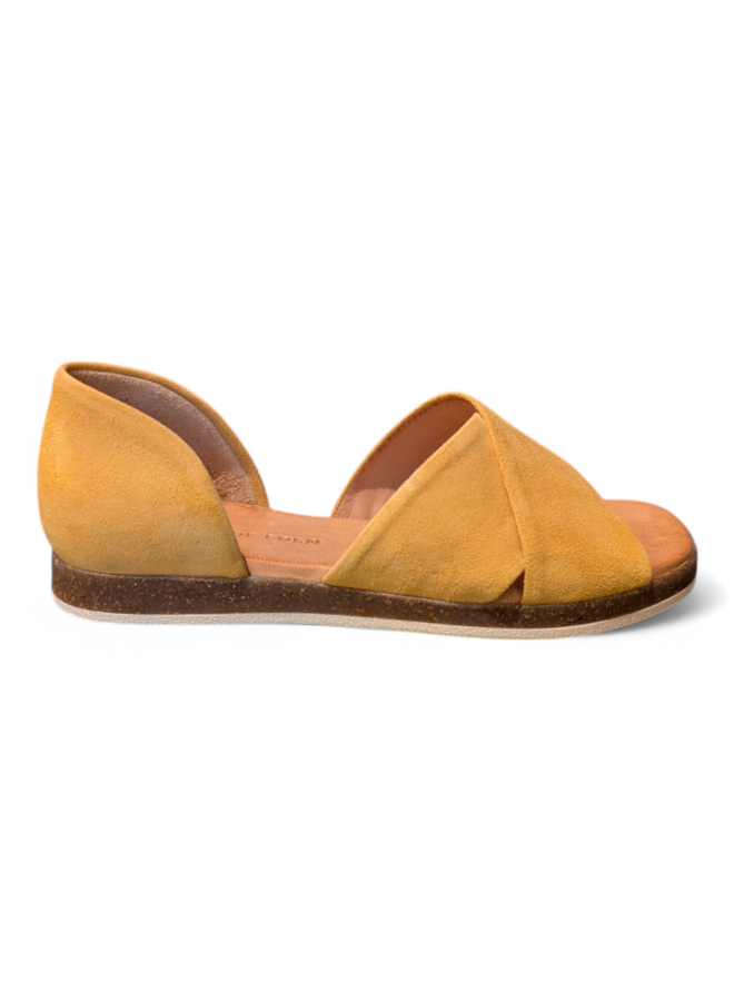 Apple of Eden  Celine 24 Camomile
