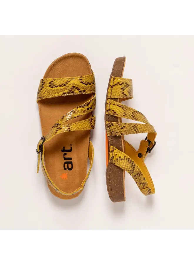 The Art Company 1045S Snake Limon/I Breathe