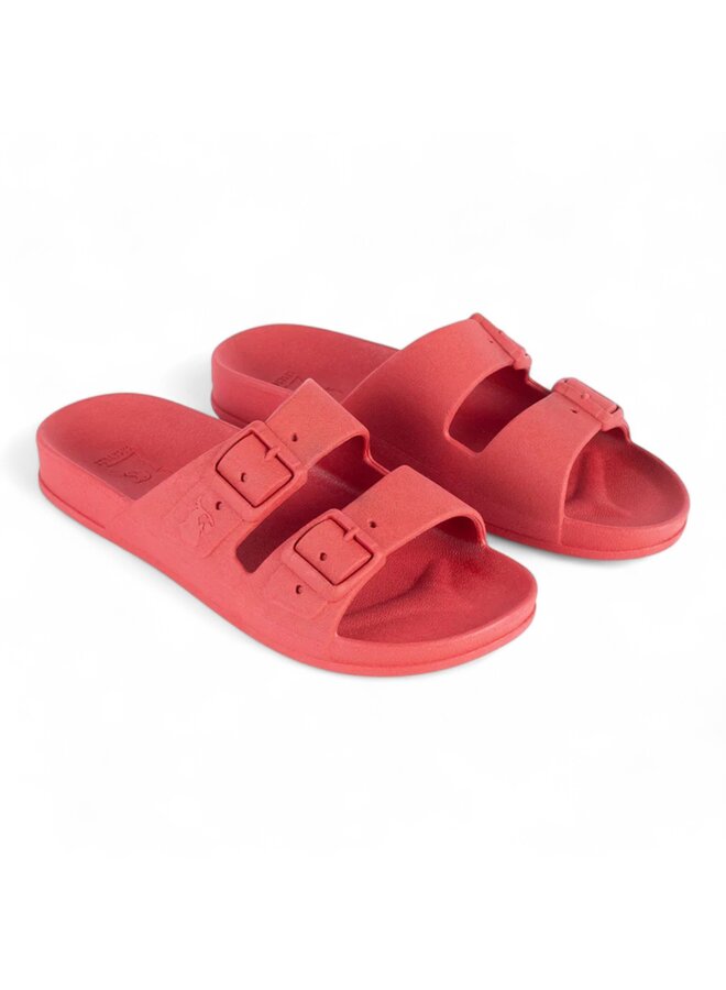 Cacatoès Rio De Janeiro Red