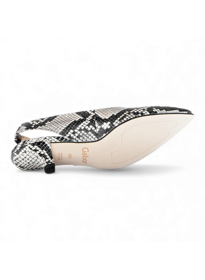 Gabor 81.530.37 Python Grande Natur/Schwarz