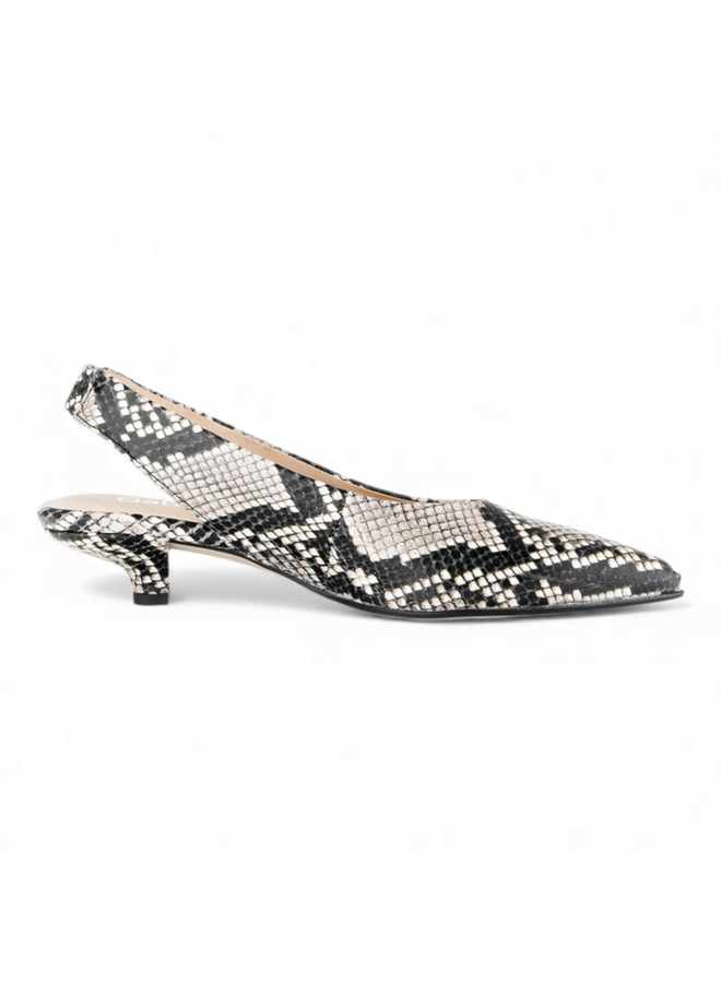 Gabor 81.530.37 Python Grande Natur/Schwarz