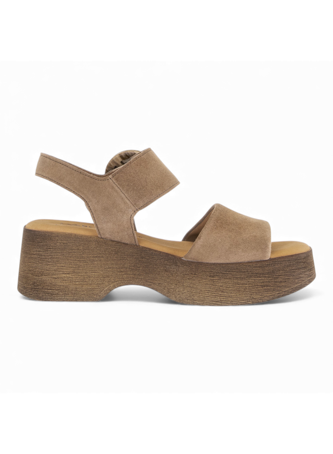 Gabor 84.520.18 Samtchevreau Peanut