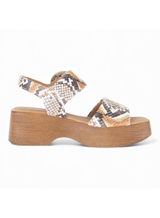 Gabor 84.520.33 Python Vecchio Sun Combi