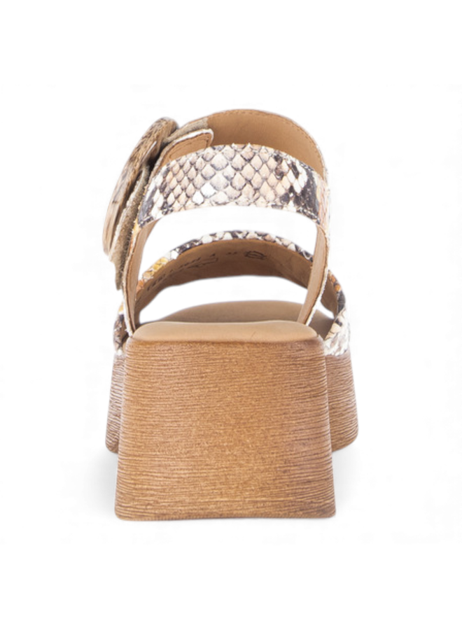 Gabor 84.520.33 Python Vecchio Sun Combi