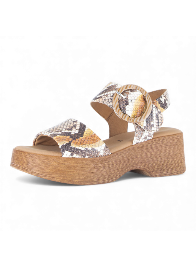 Gabor 84.520.33 Python Vecchio Sun Combi