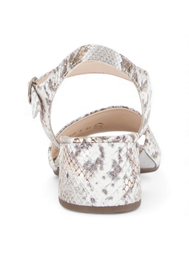 Gabor 82.910.84 Snake Supreme Sage