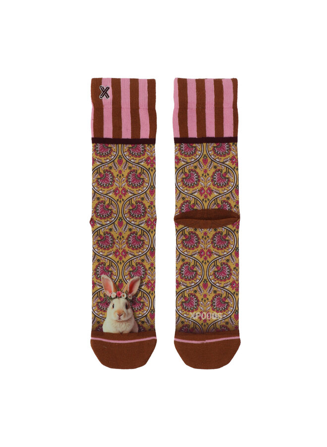 Xpooos Women Socks Donna 301012026