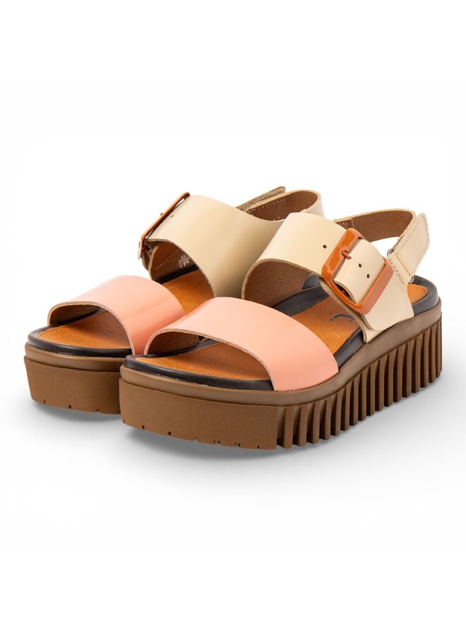 The Art Company 1578 Multi Champagne-Flamingo/Brighton