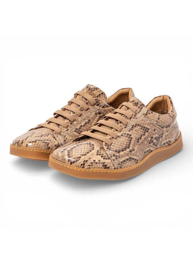 El Naturalista N5910 Snake Beig/Origen