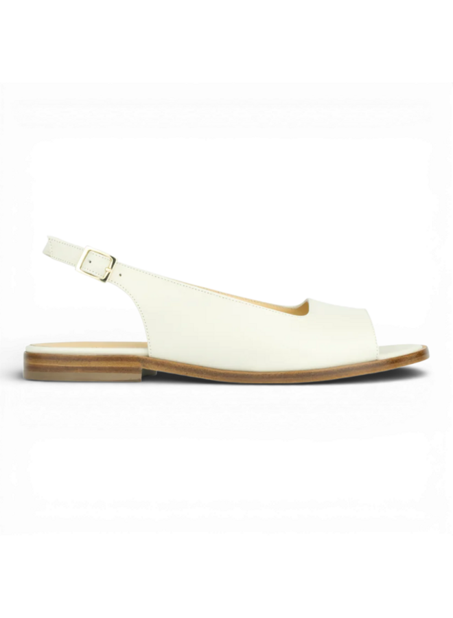 Atelier Content Coby Milk 251035