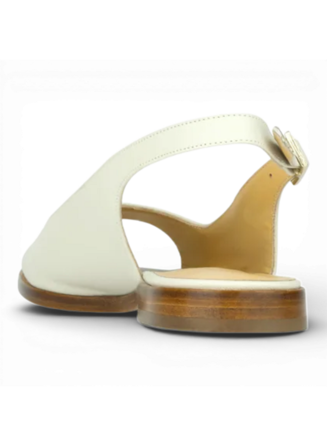 Atelier Content Coby Milk 251035