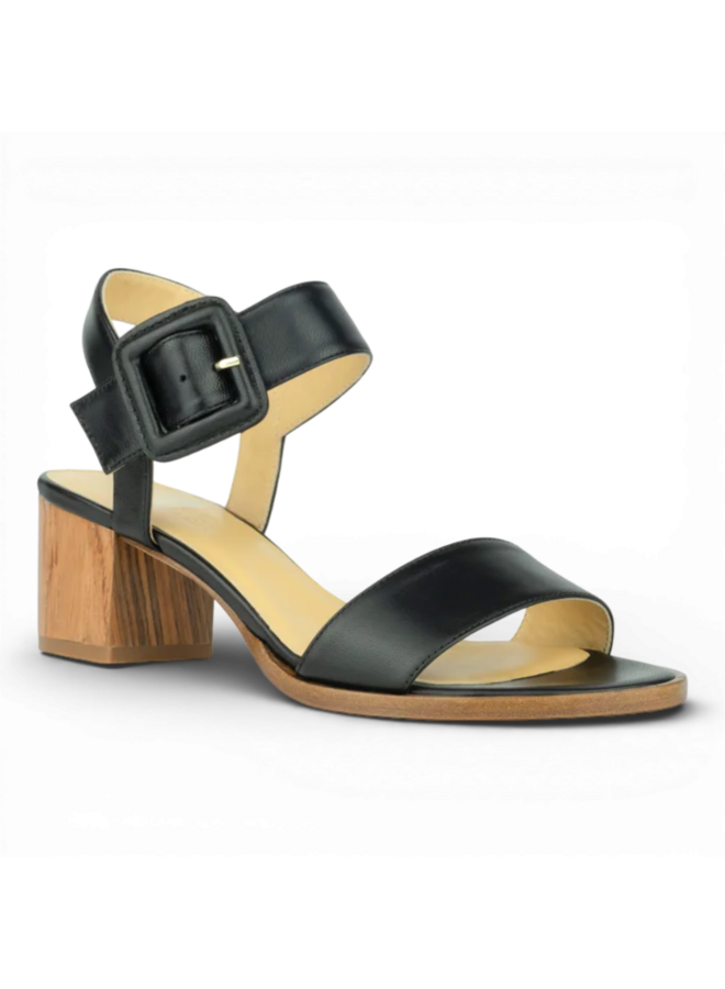 Atelier Content Eva Black 261035