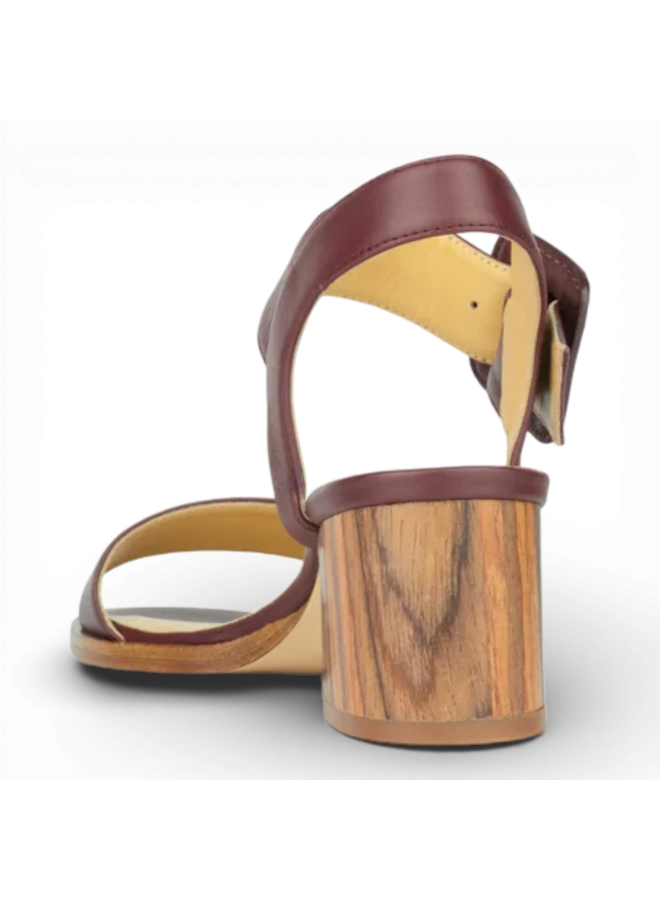 Atelier Content Eva Bordeaux 261035