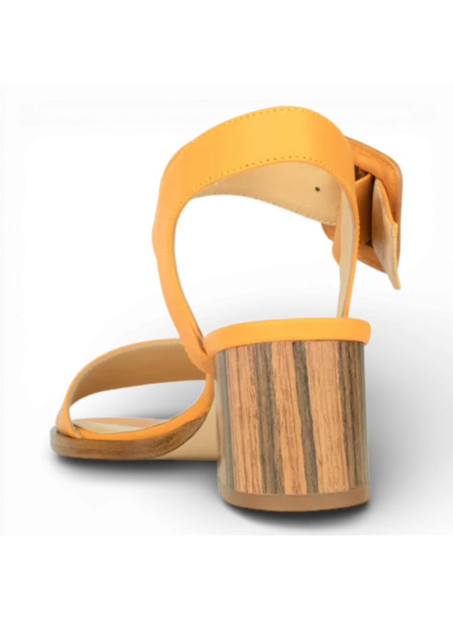 Atelier Content Eva Mango 261035