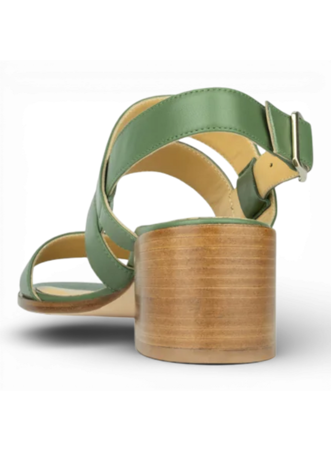 Atelier Content Esma Dark Green 261037