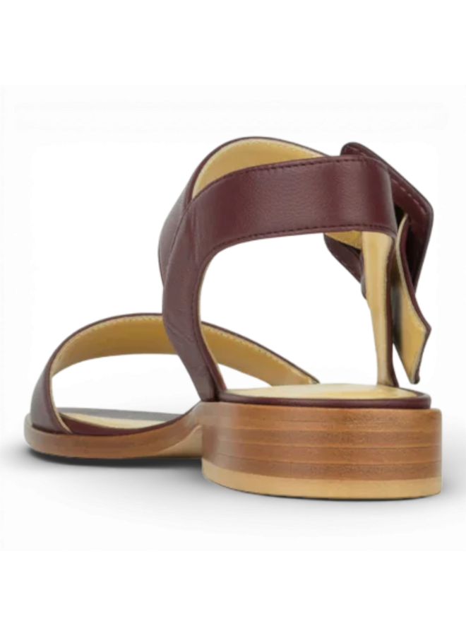 Atelier Content Enissa Bordeaux 261063