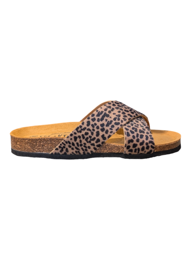 Plakton 181051 Pardino Camel
