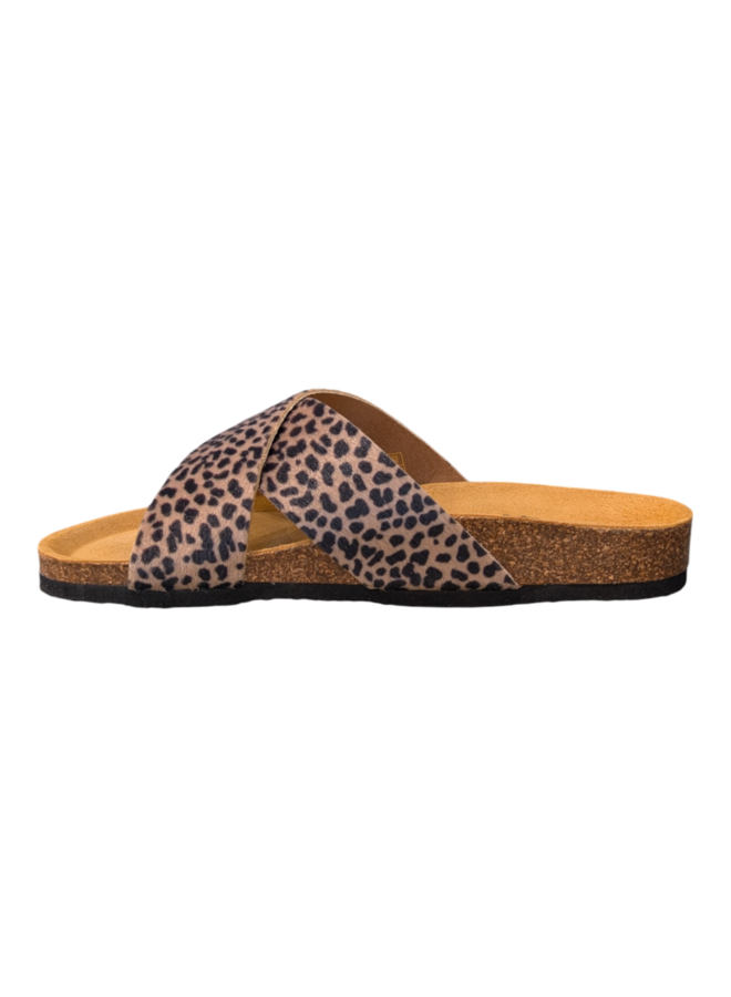 Plakton 181051 Pardino Camel