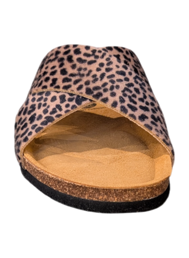 Plakton 181051 Pardino Camel