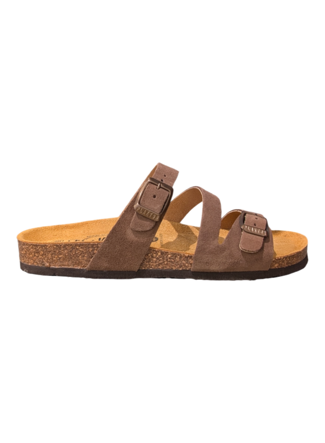 Plakton 181210 Afelpado Lodo