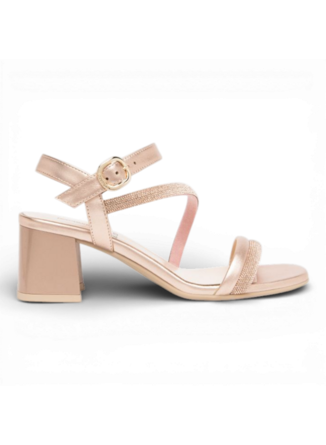 NeroGiardini E615721D 600 Nettuno Phard Tpu Fen Naturale