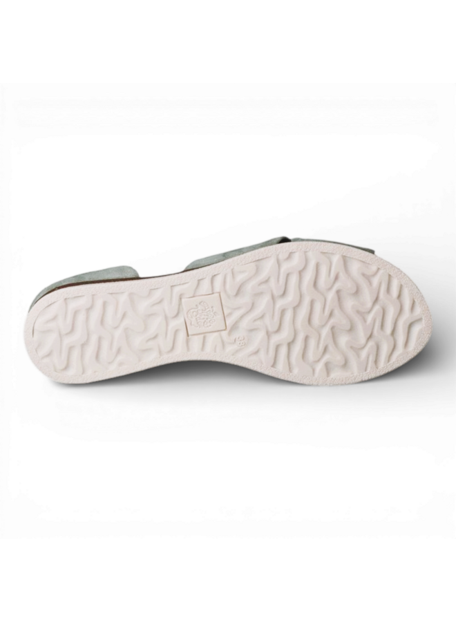 Apple of Eden Chiusi 54 Sky Green