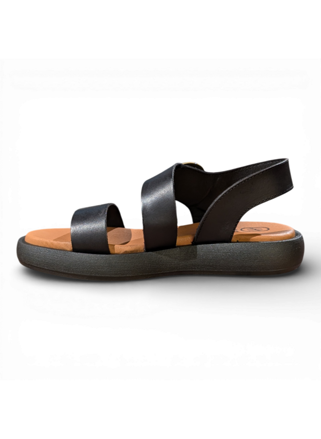 Hee 26382 Vanquetilla Negro