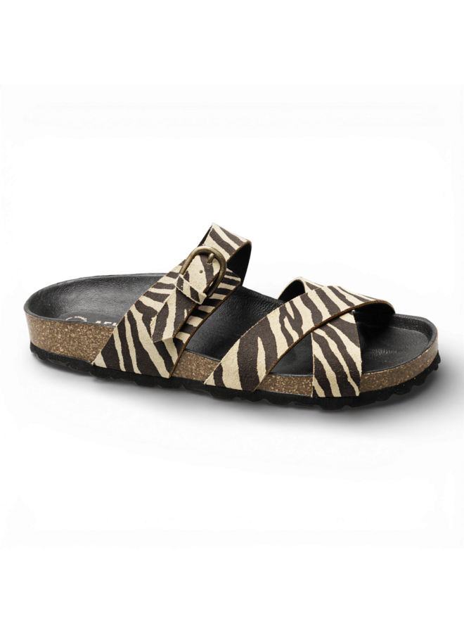 Verbenas Rubi Zebra Camel