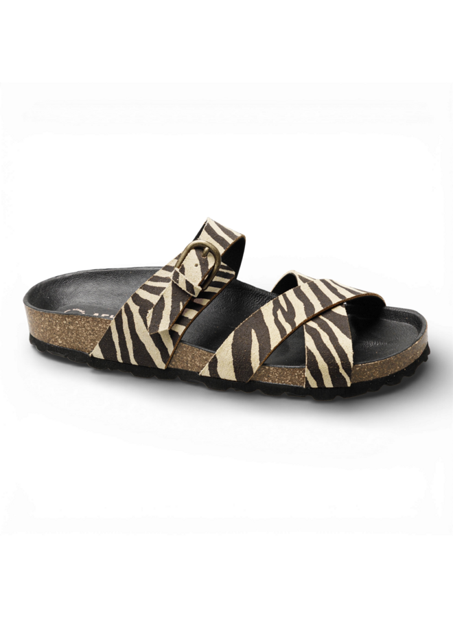 Verbenas Rubi Zebra Camel